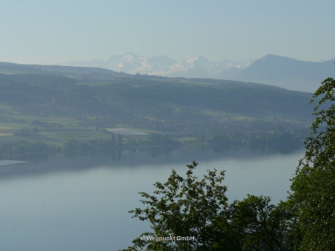 Hallwilersee am Morgen